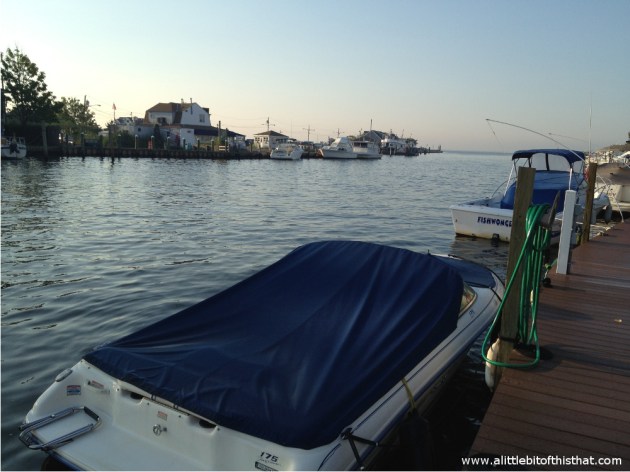 On any given day the Patchogue River is bustling with boats.  This morning?  So tranquil and not an engine to be heard. (PS - That's Patrick's boat right there) :-)