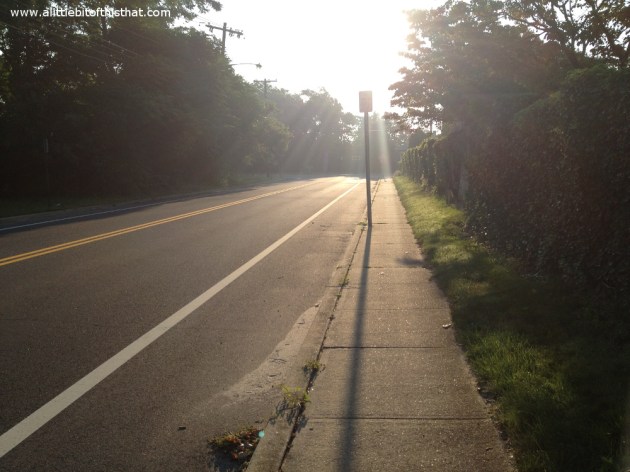 Weeks Road - Usually VERY busy yet it was so peaceful today.  